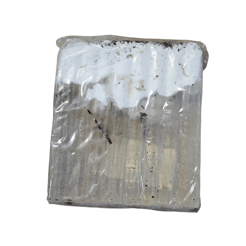 Coffret Noël – Bougie Nougat & Douceurs Cocooning